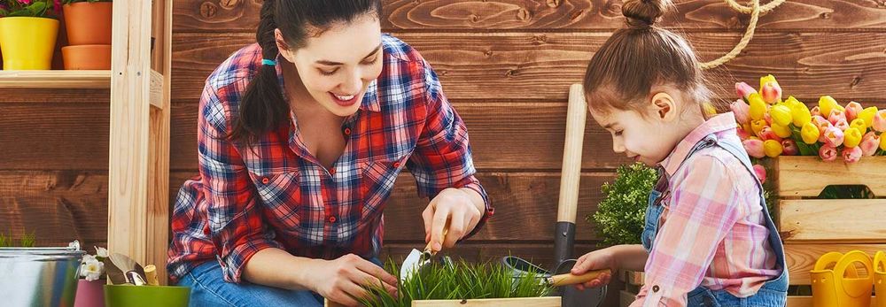 Bonus verde 2023: incentivi fiscali per giardini, balconi e terrazzi