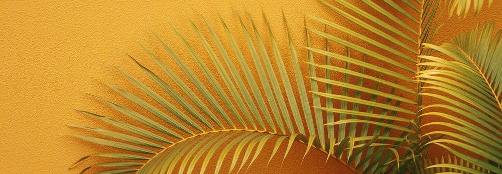 Color ocra per le pareti: idee per il tuo arredamento