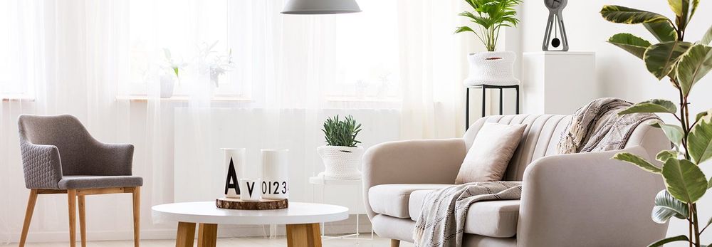 Come arredare con le piante da interno