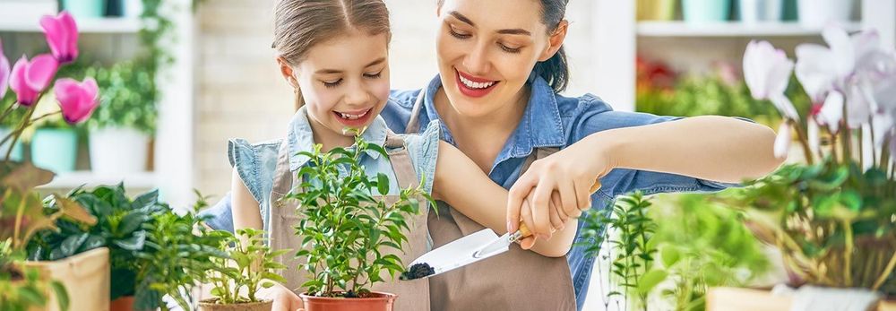 Come sistemare il giardino di casa