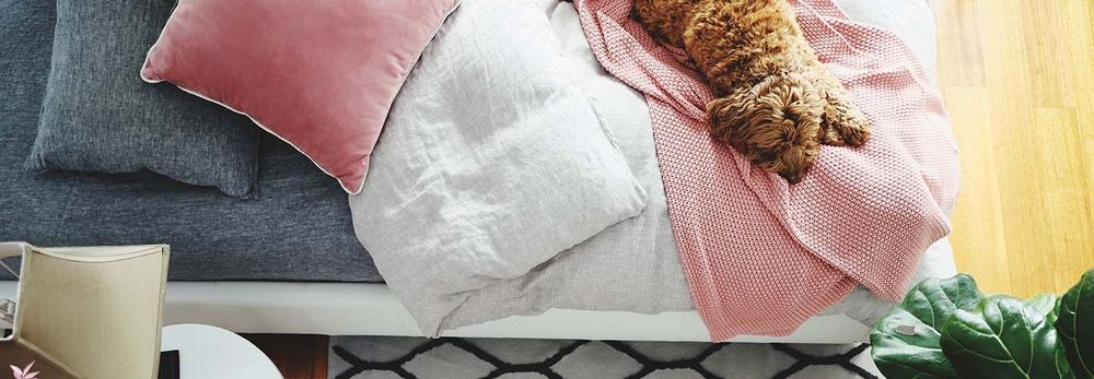 Cosa vuol dire avere l’intera proprietà?