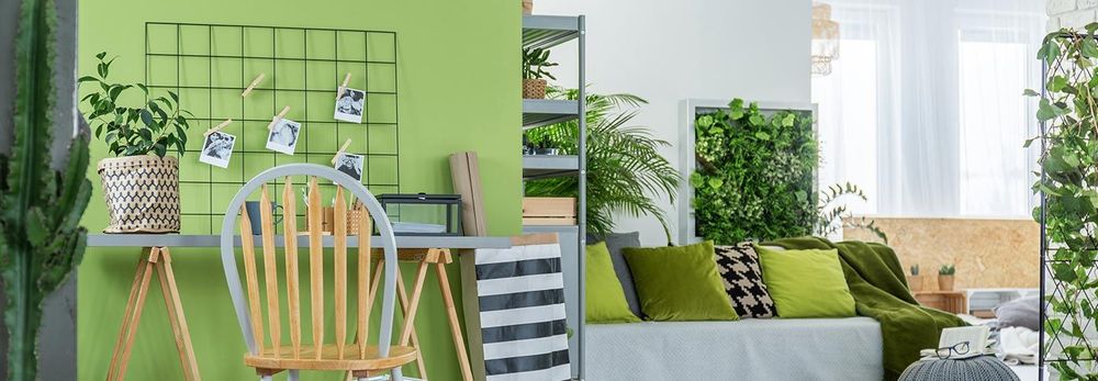 Costruire un giardino verticale in poche mosse