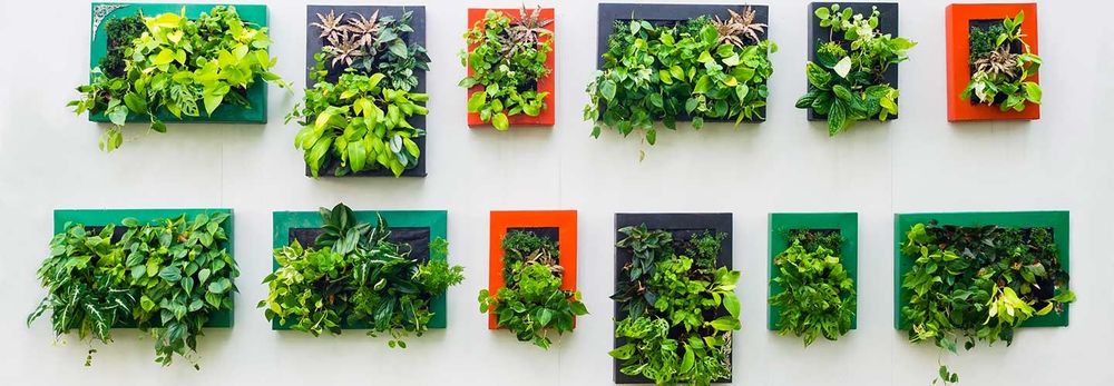 Giardini verticali, arredare la casa con il verde 