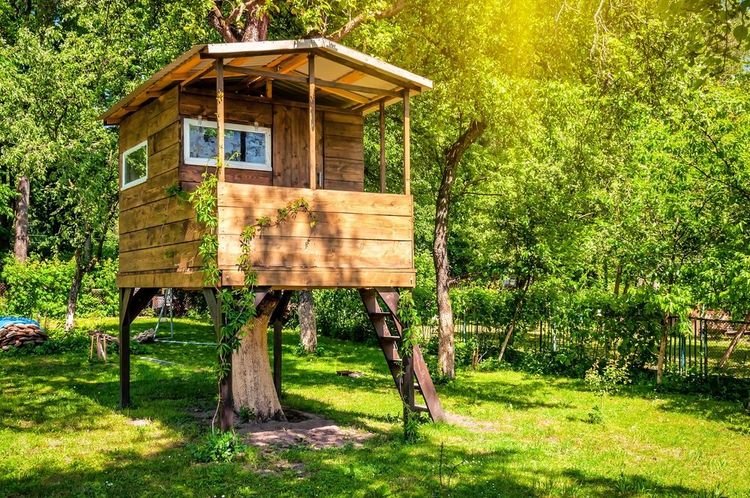 Come costruire una casa sull’albero? Idee e soluzioni più indicate