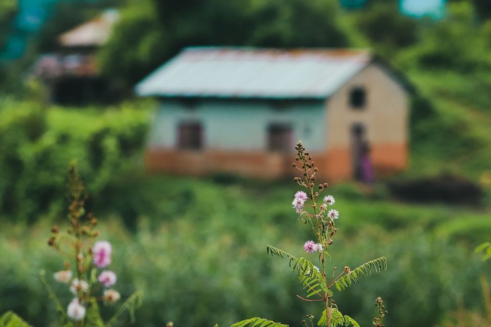 Vivere in campagna: pro e contro, costi nascosti e per chi conviene