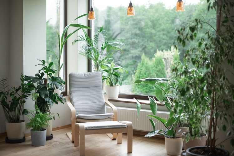 Arredamento e design sostenibile: come realizzare ambienti green e moderni 