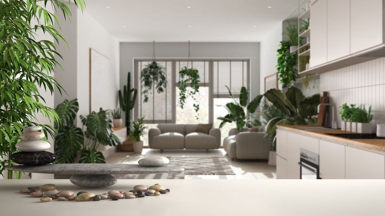 Tutto su come arredare il soggiorno in stile Feng Shui, dai colori delle pareti fino ai mobili