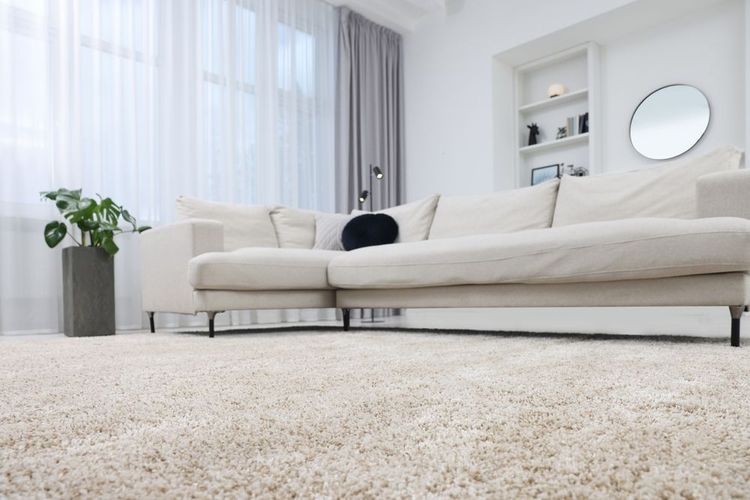 Alla scoperta della moquette per pavimenti: eleganza e comfort per la tua casa